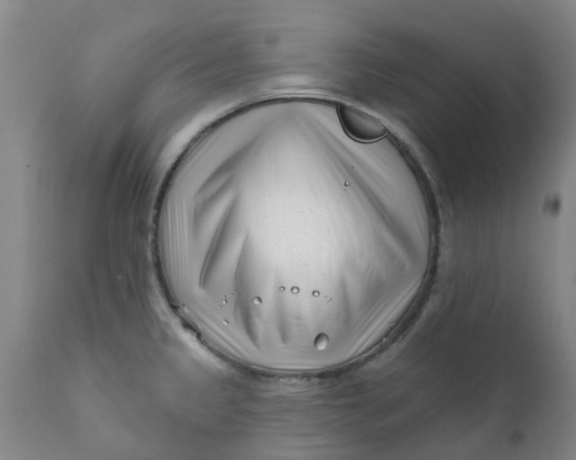 X0000111791333200908131403