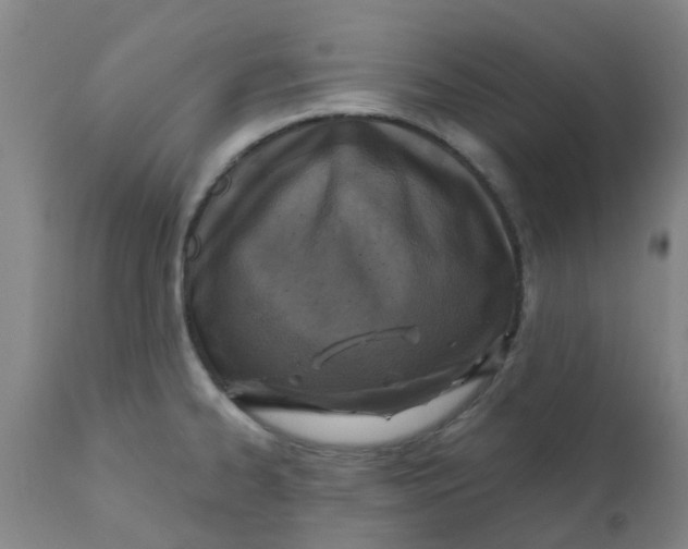 X0000111791334200908131403