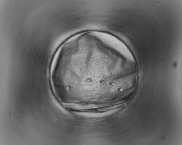 X0000111791335200908131403