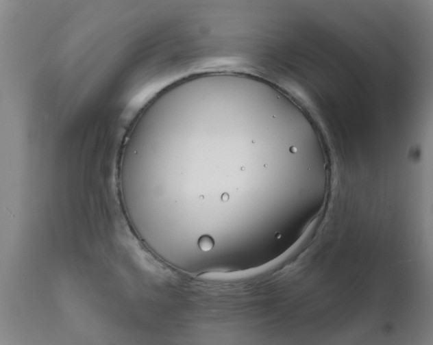 X0000111791336200908131403