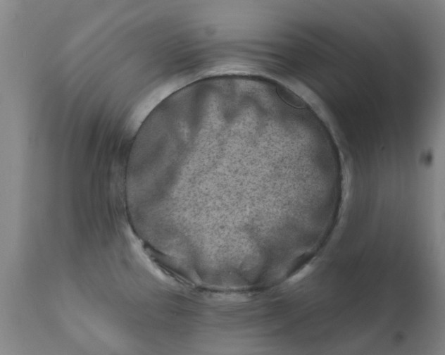 X0000111791337200908131403