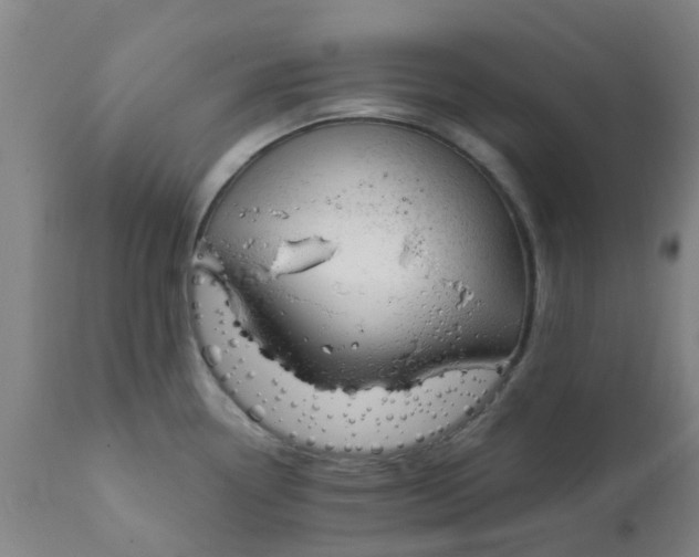 X0000111791338200908131403