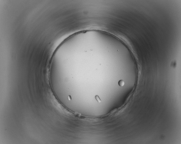 X0000111791340200908131403