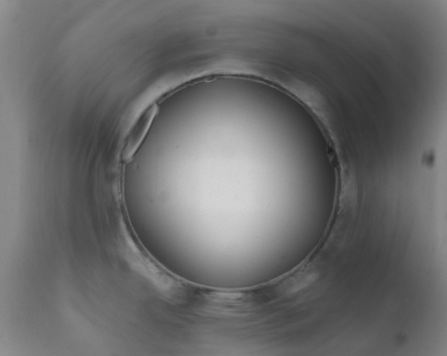 X0000111791342200908131403