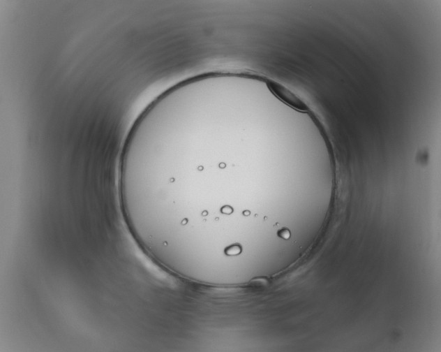 X0000111791343200908131403