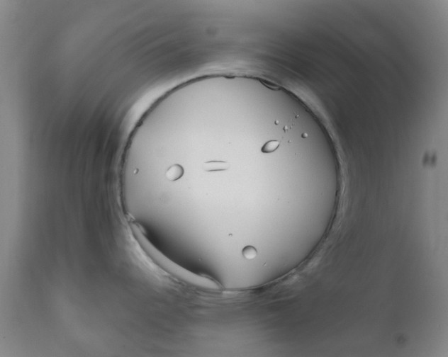 X0000111791344200908131403