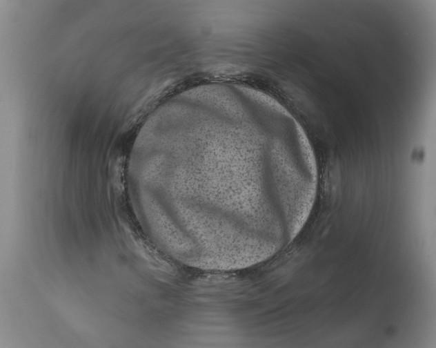 X0000111791346200908131402