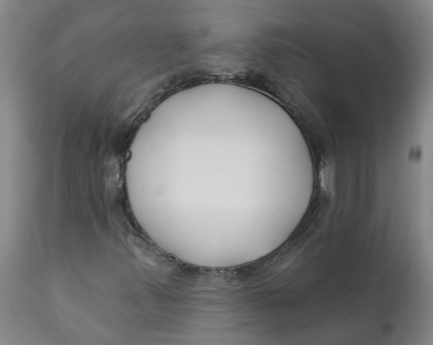 X0000111791347200908131402