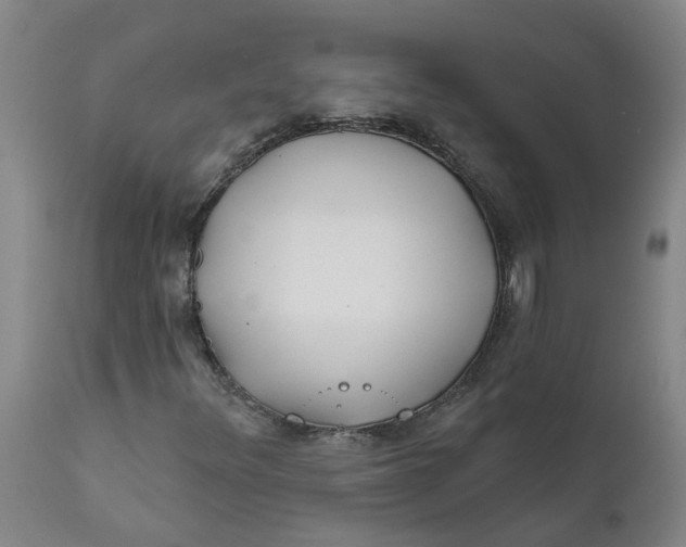 X0000111791348200908131402