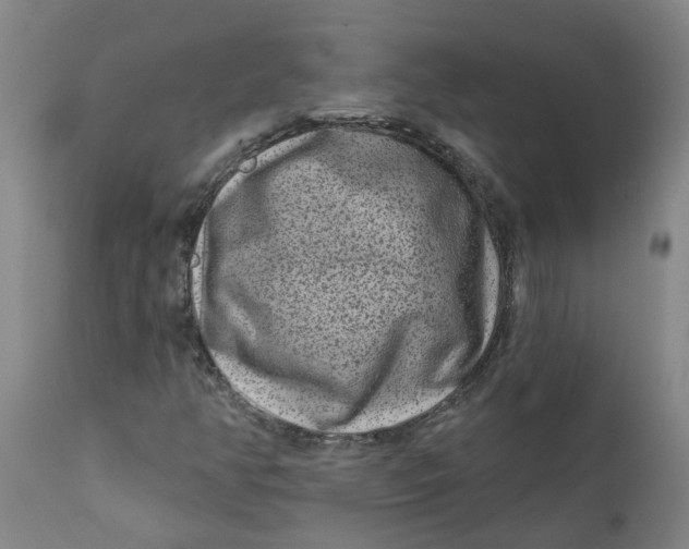 X0000111791350200908131402