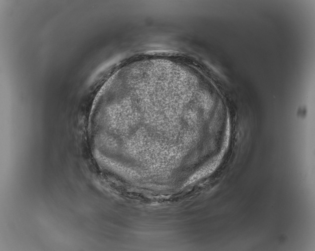 X0000111791351200908131402