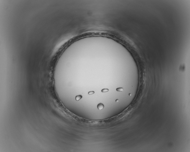 X0000111791352200908131402