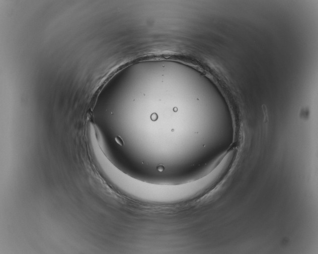 X0000111791353200908131402