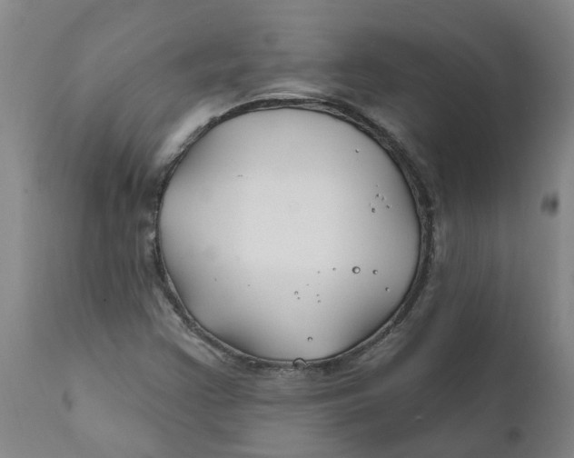 X0000111791355200908131402