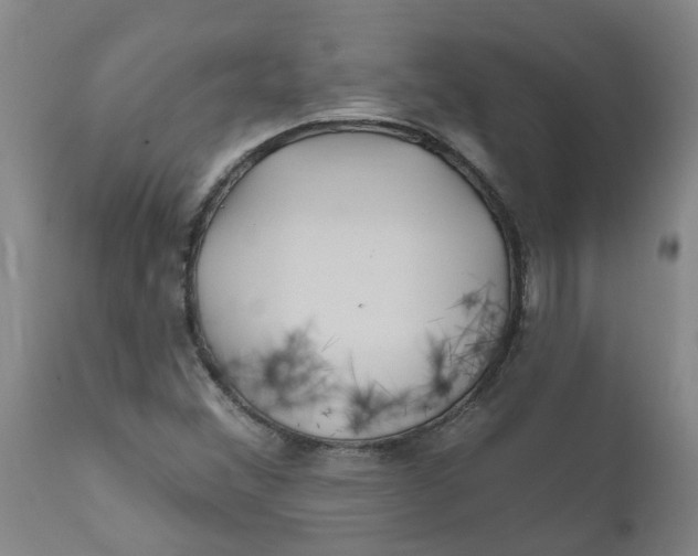 X0000111791356200908131402