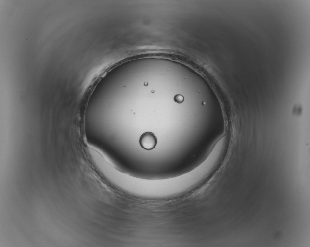 X0000111791357200908131402