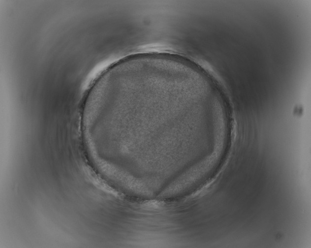 X0000111791358200908131402