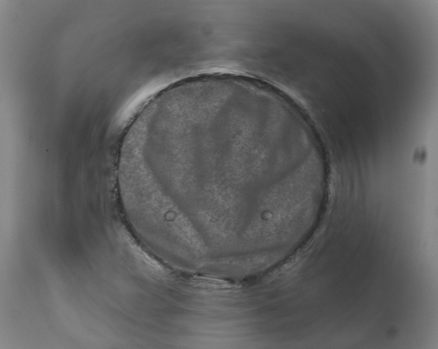 X0000111791359200908131402