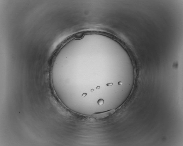 X0000111791360200908131402