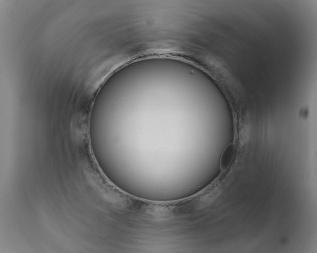 X0000111791361200908131402