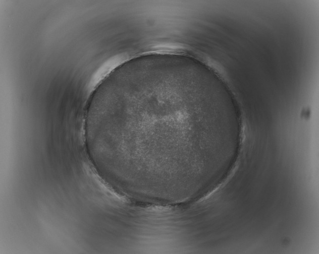 X0000111791362200908131402