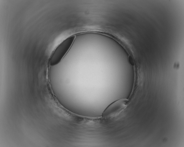 X0000111791365200908131402