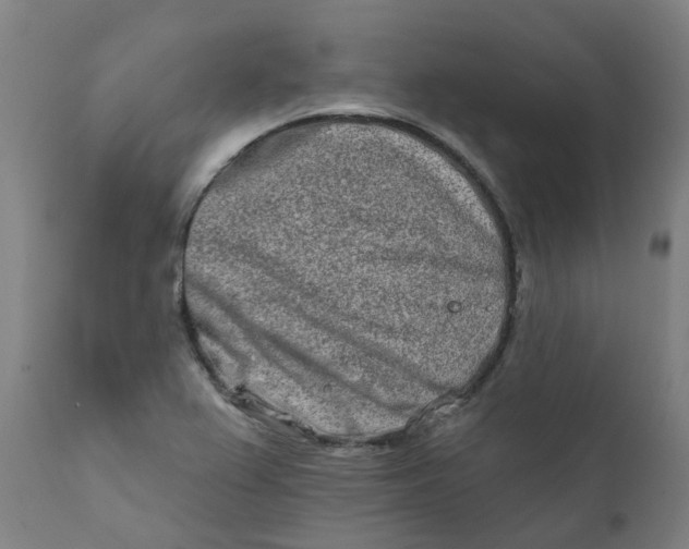 X0000111791367200908131402