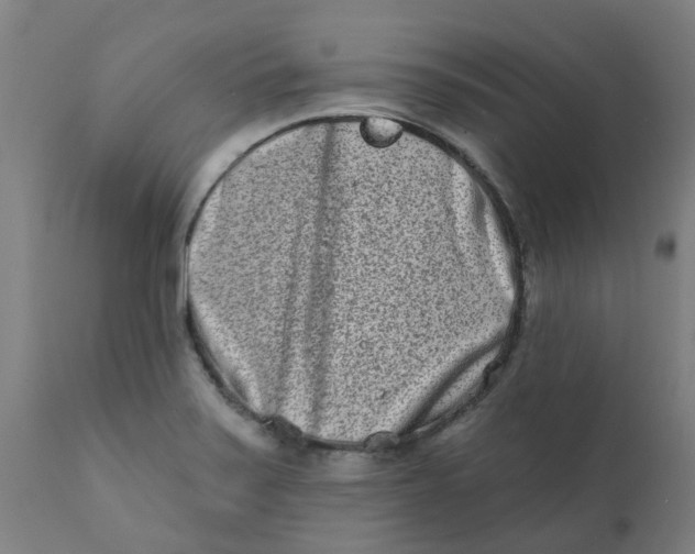 X0000111791371200908131402