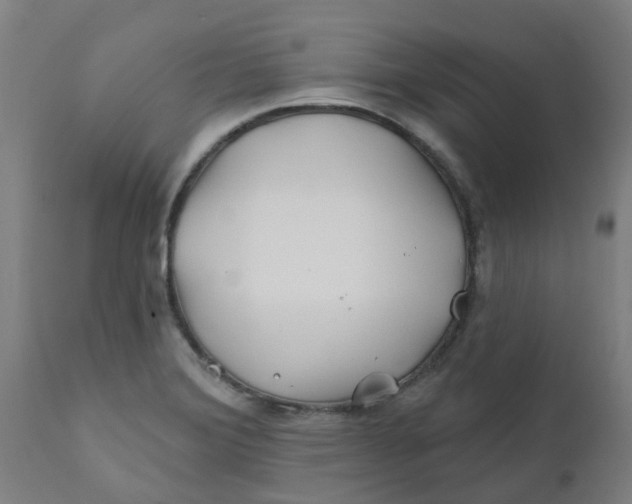 X0000111791372200908131402