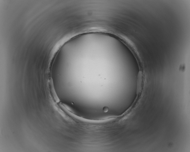 X0000111791373200908131402