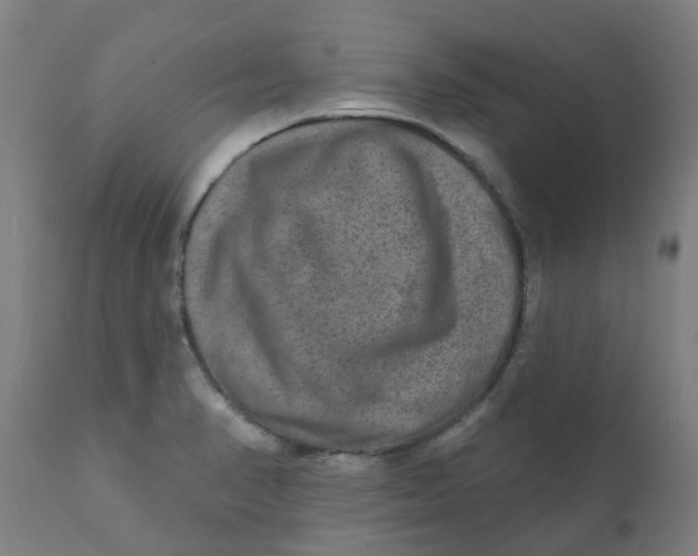 X0000111791374200908131402