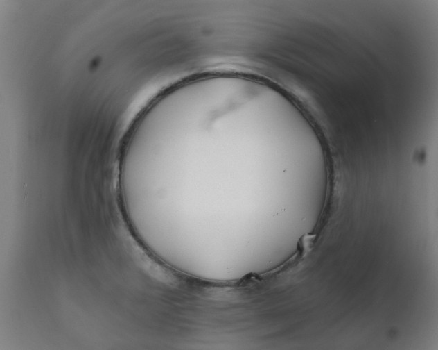 X0000111791376200908131402