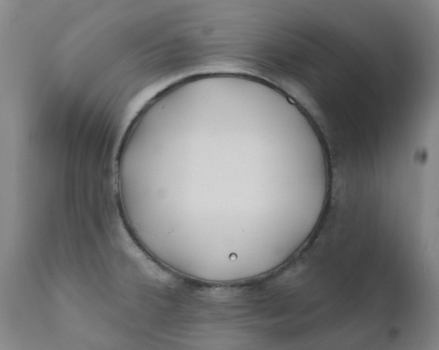 X0000111791380200908131402