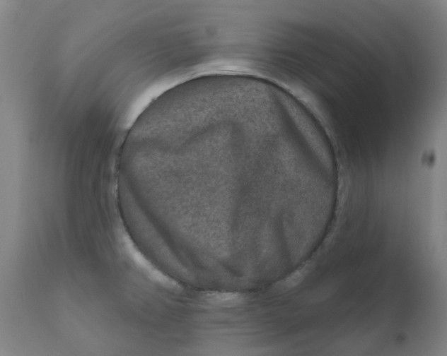 X0000111791382200908131402