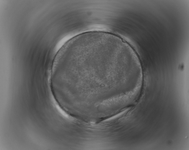 X0000111791383200908131402