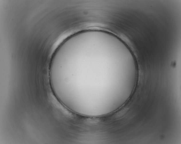 X0000111791384200908131402