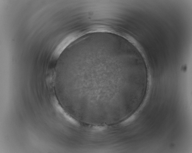 X0000111791385200908131402