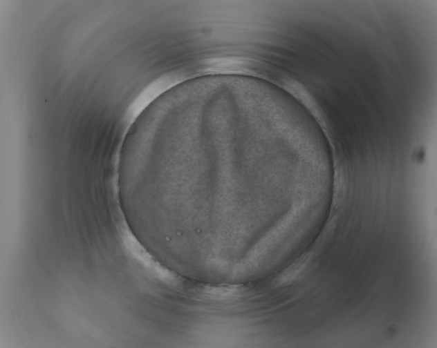 X0000111791386200908131402