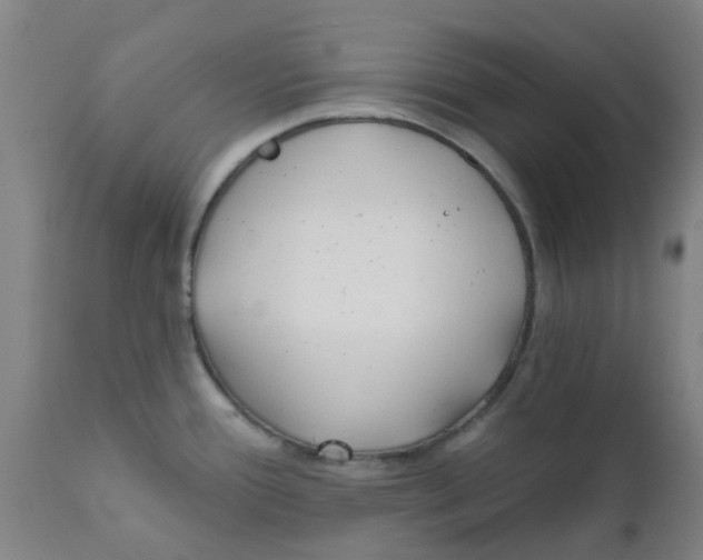 X0000111791388200908131402