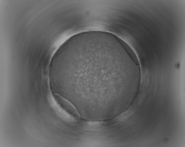 X0000111791389200908131402