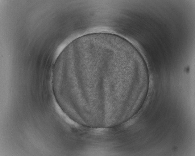 X0000111791390200908131402