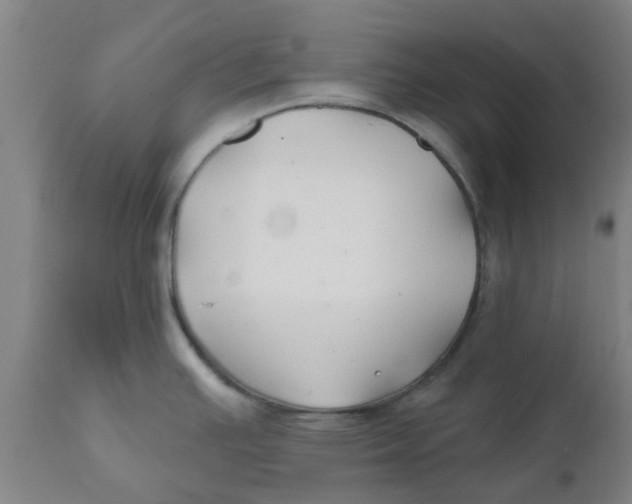 X0000111791391200908131402