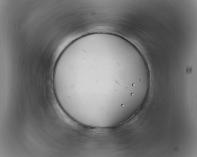 X0000111791392200908131402