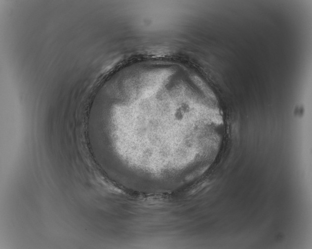 X0000111791393200908131401