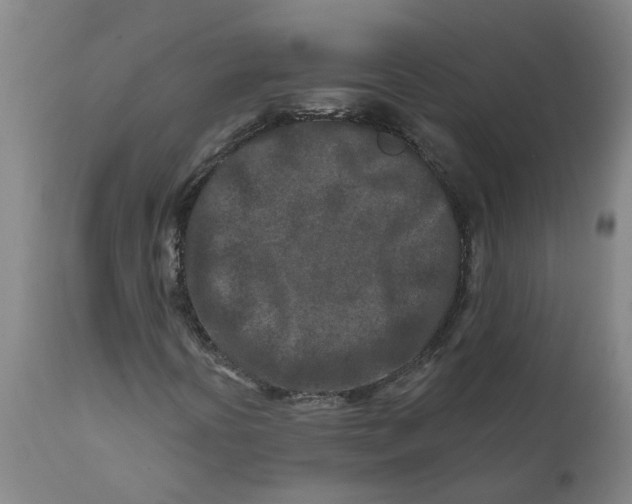 X0000111791394200908131401