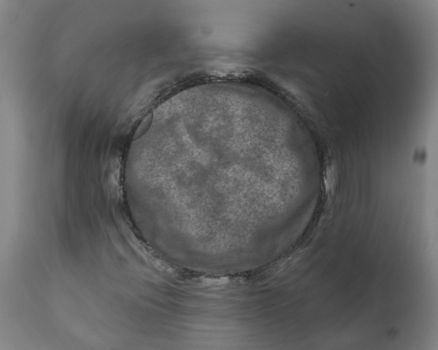 X0000111791396200908131401