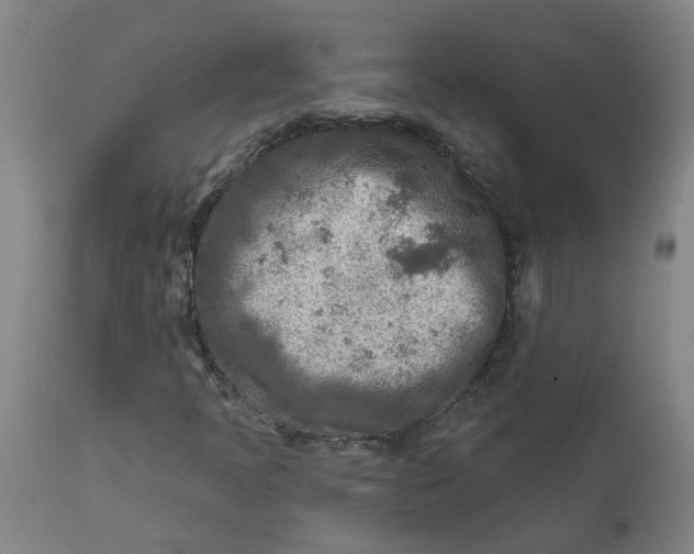 X0000111791397200908131401