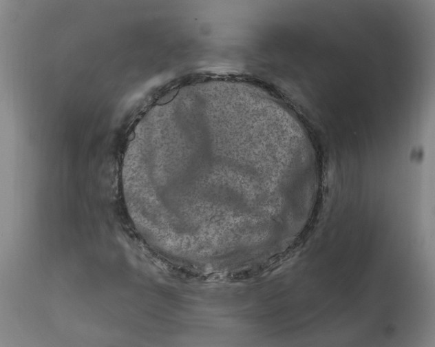 X0000111791398200908131401