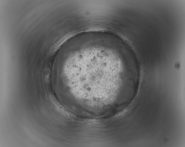 X0000111791401200908131401