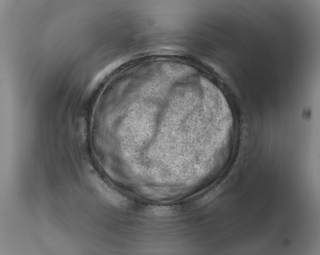 X0000111791402200908131401